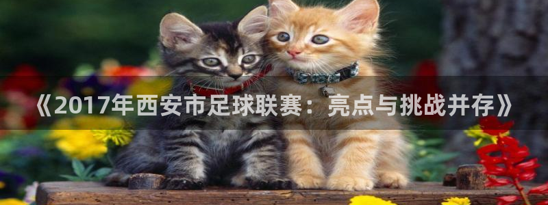 《2017年西安市足球联赛：亮点与挑战并存》