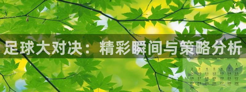 足球大对决：精彩瞬间与策略分析