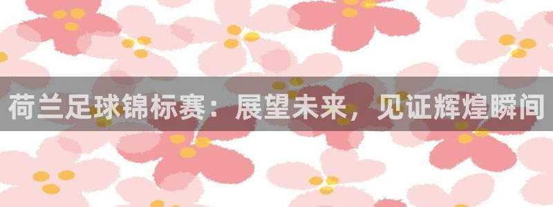 荷兰足球锦标赛：展望未来，见证辉煌瞬间