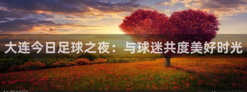  大连今日足球之夜：与球迷共度美好时光