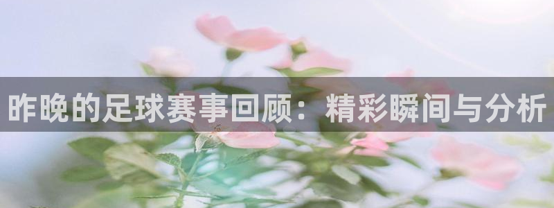  昨晚的足球赛事回顾：精彩瞬间与分析