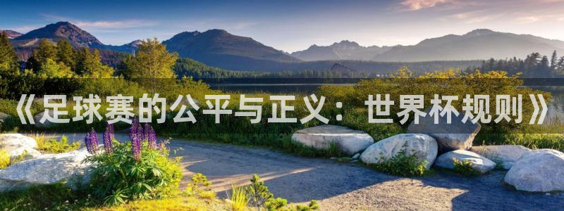  《足球赛的公平与正义：世界杯规则》