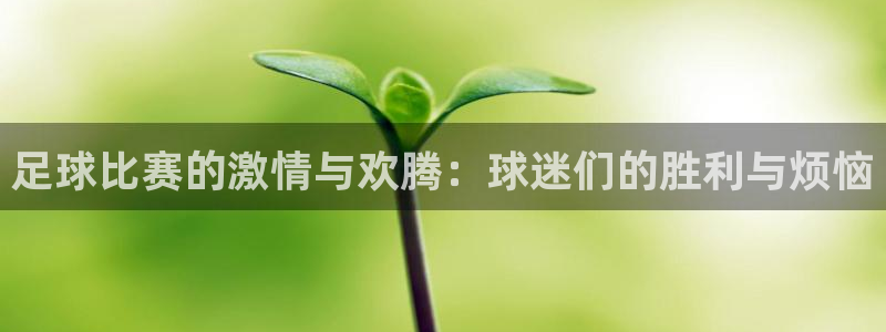  足球比赛的激情与欢腾：球迷们的胜利与烦恼