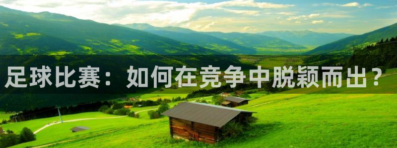  足球比赛：如何在竞争中脱颖而出？