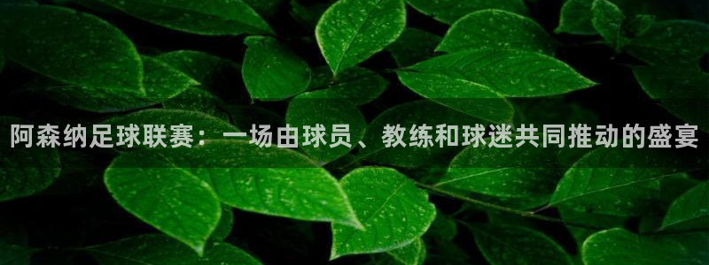 阿森纳足球联赛：一场由球员、教练和球迷共同推动的盛宴