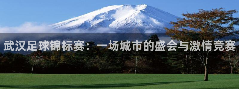  武汉足球锦标赛：一场城市的盛会与激情竞赛