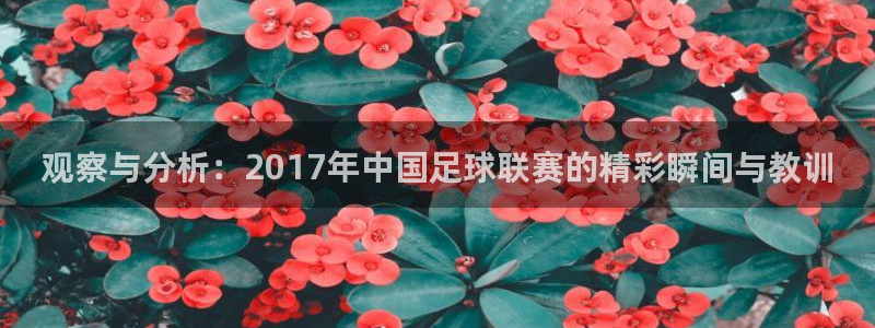 观察与分析：2017年中国足球联赛的精彩瞬间与教训