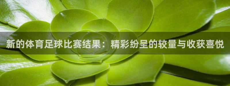  新的体育足球比赛结果：精彩纷呈的较量与收获喜悦