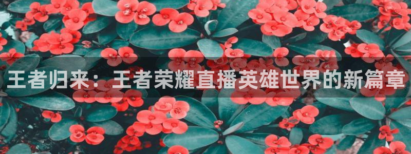 极速体育360 nba直播