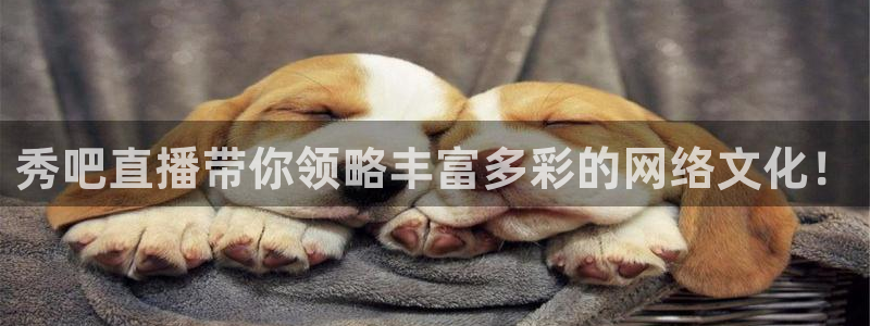 飞速极速体育直播