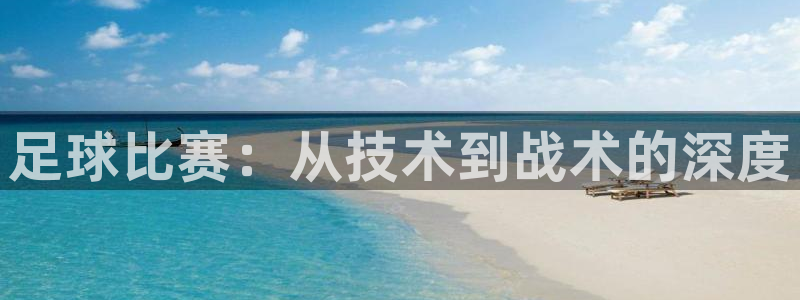 足球比赛：从技术到战术的深度