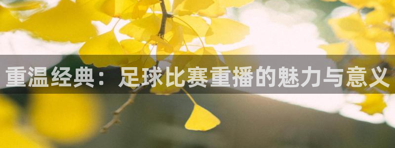 重温经典：足球比赛重播的魅力与意义