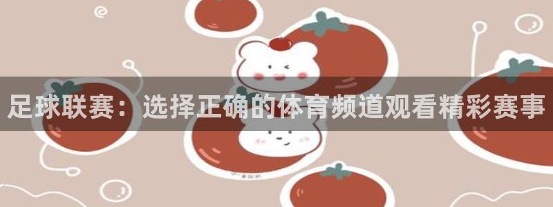 足球联赛：选择正确的体育频道观看精彩
