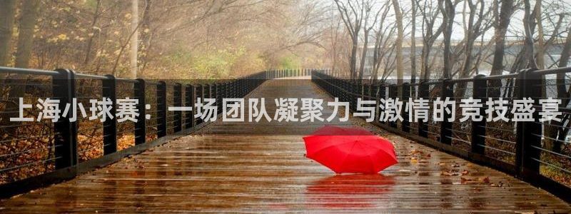  上海小球赛：一场团队凝聚力与激情的竞技盛宴