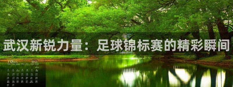  武汉新锐力量：足球锦标赛的精彩瞬间