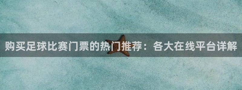  购买足球比赛门票的热门推荐：各大在线平台详解