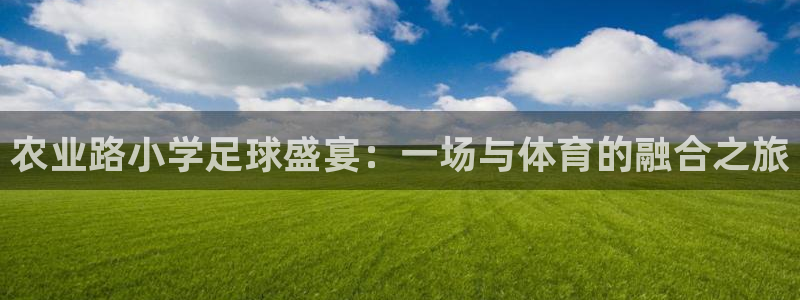  农业路小学足球盛宴：一场与体育的融合之旅