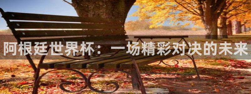  阿根廷世界杯：一场精彩对决的未来