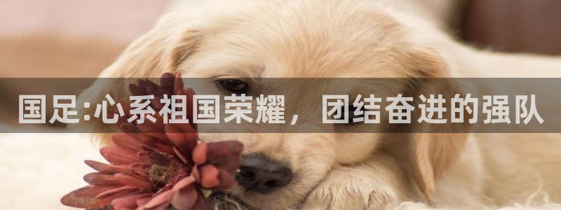 国足:心系祖国荣耀，团结奋进的强队