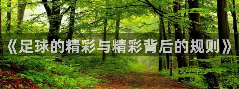 《足球的精彩与精彩背后的规则》