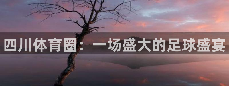 四川体育圈：一场盛大的足球盛宴