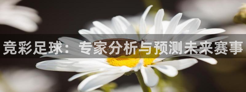  竞彩足球：专家分析与预测未来赛事