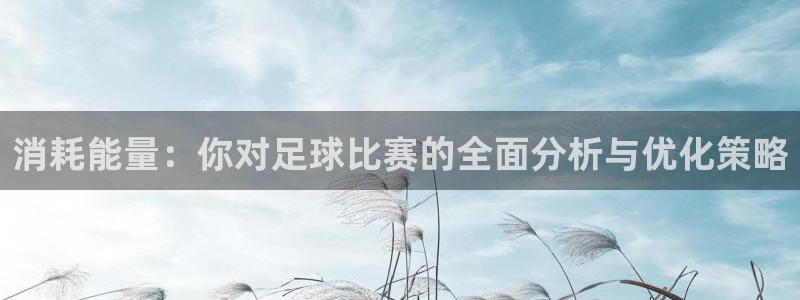  消耗能量：你对足球比赛的全面分析与优化策略