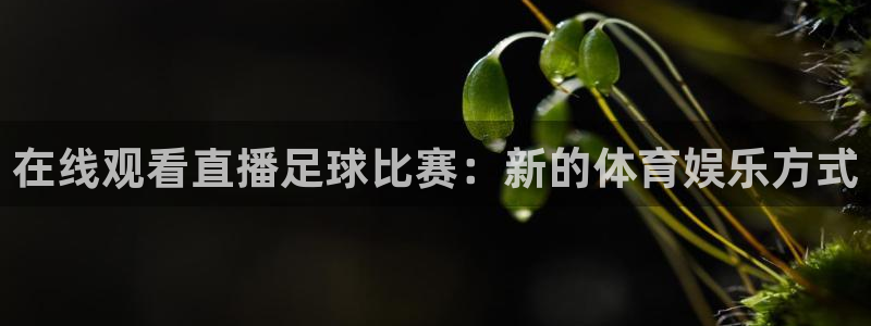  在线观看直播足球比赛：新的体育娱乐方式