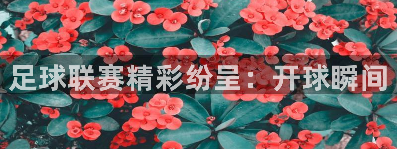 足球联赛精彩纷呈：开球瞬间