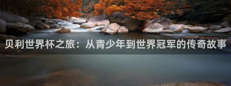贝利世界杯之旅：从青少年到世界冠军的传奇故事