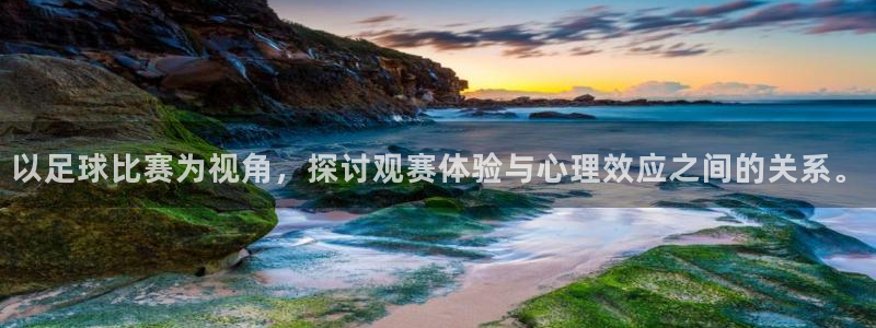  以足球比赛为视角，探讨观赛体验与心理效应之间的关系。