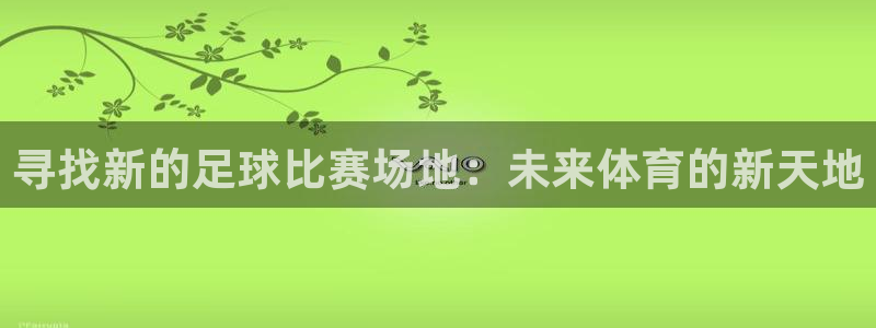  寻找新的足球比赛场地：未来体育的新天地