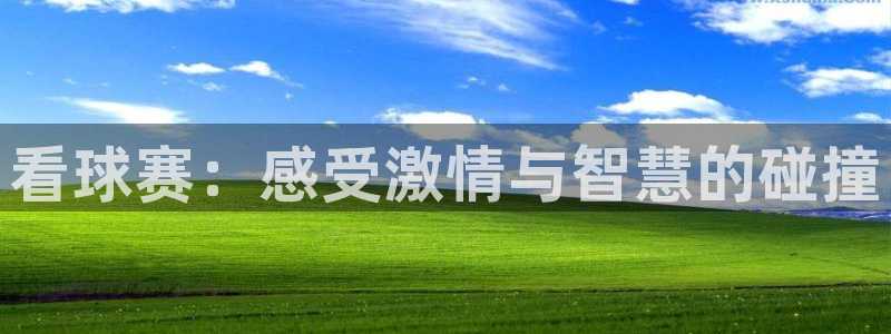 看球赛：感受激情与智慧的碰撞