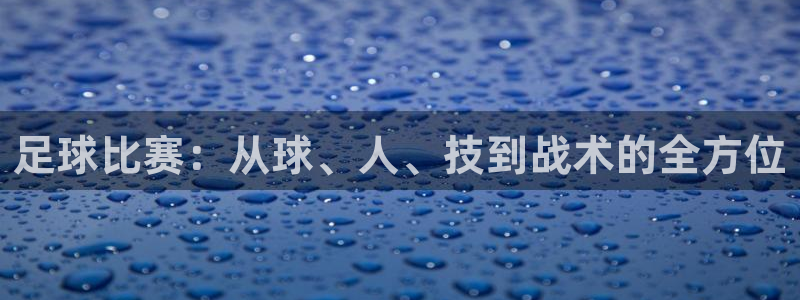  足球比赛：从球、人、技到战术的全方位