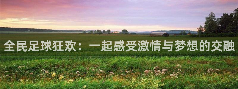 全民足球狂欢：一起感受激情与梦想的交融