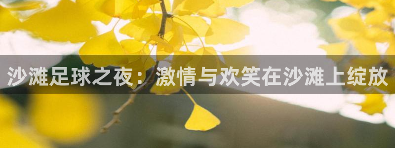 沙滩足球之夜：激情与欢笑在沙滩上绽放