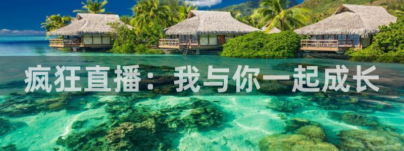 nba赛事直播极速：疯狂直播：我与你一起成长