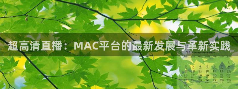 nba直播免费极速体育：超高清直播：MAC平台的最新发展与革新实践