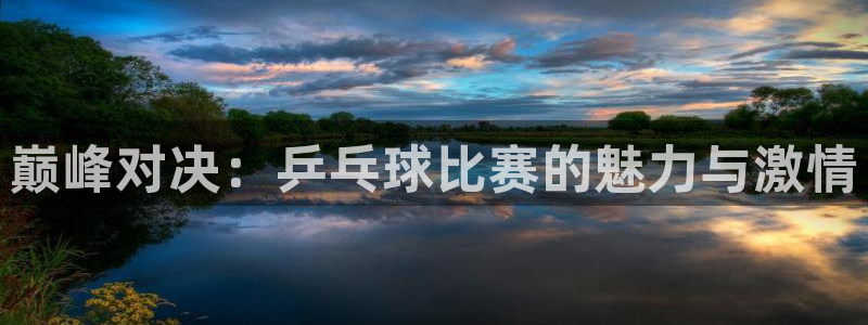 极速足球直播：巅峰对决：乒乓球比赛的魅力与激情